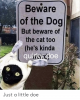 beware-of-the-dog-but-beware-of-the-cat-too-55353794.png