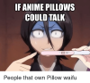 if-anime-pillows-could-talk-people-that-own-pillow-waifu-39341771.png