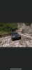 39945542-84BC-4A5F-AC0E-70D9B10B09EF.png