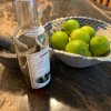 IMG_8053.jpeg