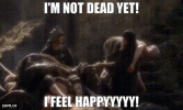 IMG_2403.gif