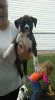 FB_IMG_1504226183932.jpg