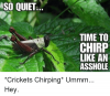 so-quiet-time-to-chirp-like-an-asshole-crickets-chirping-3928836.png
